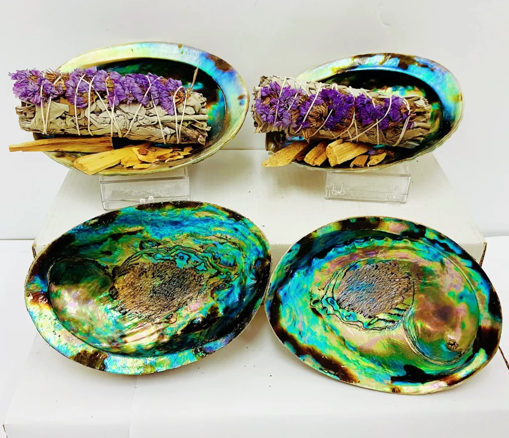 5″-6″ Abalone Shells 10 Piece Bundle